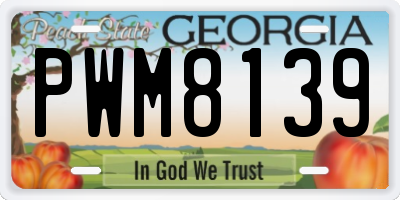 GA license plate PWM8139