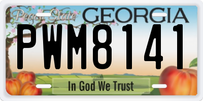 GA license plate PWM8141