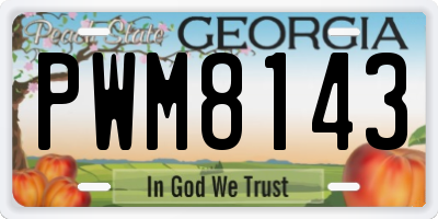 GA license plate PWM8143