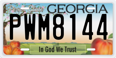 GA license plate PWM8144