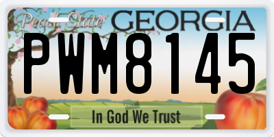 GA license plate PWM8145