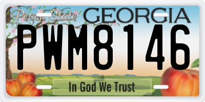 GA license plate PWM8146