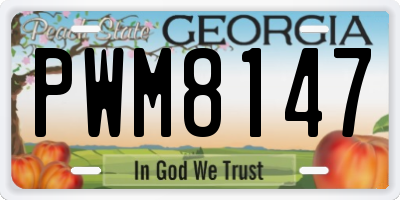 GA license plate PWM8147