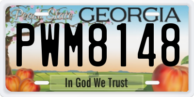 GA license plate PWM8148