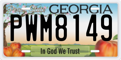 GA license plate PWM8149