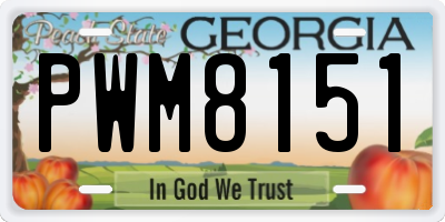 GA license plate PWM8151