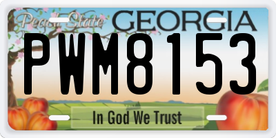 GA license plate PWM8153