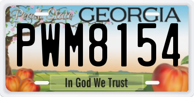 GA license plate PWM8154