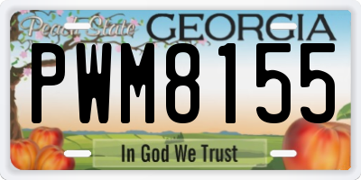 GA license plate PWM8155