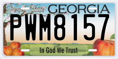 GA license plate PWM8157