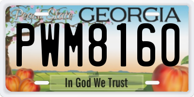 GA license plate PWM8160