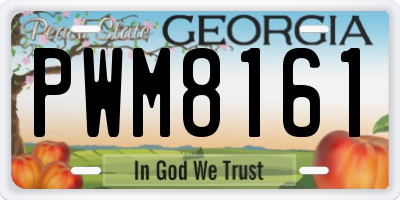 GA license plate PWM8161