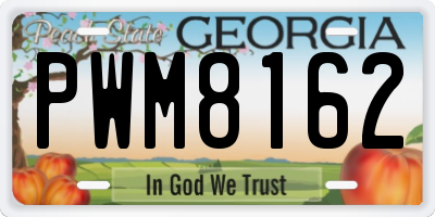 GA license plate PWM8162