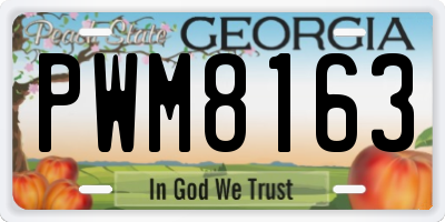 GA license plate PWM8163