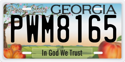 GA license plate PWM8165