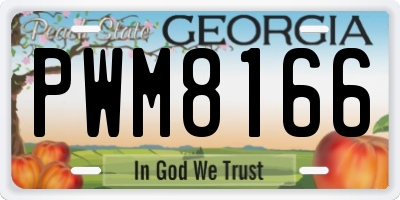 GA license plate PWM8166