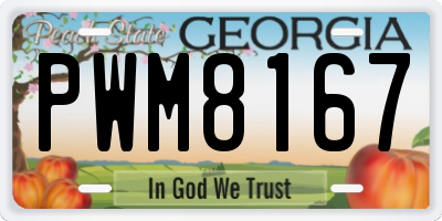 GA license plate PWM8167