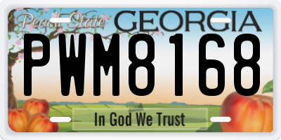 GA license plate PWM8168