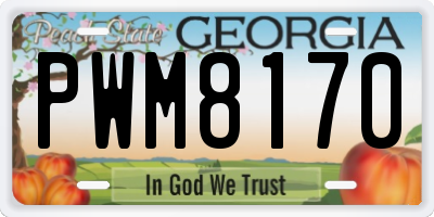 GA license plate PWM8170