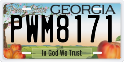 GA license plate PWM8171
