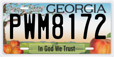 GA license plate PWM8172