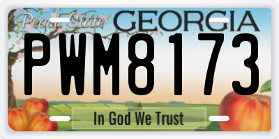 GA license plate PWM8173