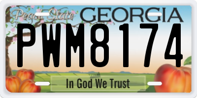 GA license plate PWM8174