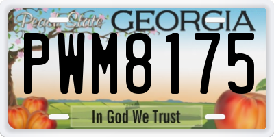 GA license plate PWM8175