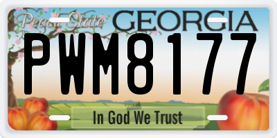 GA license plate PWM8177