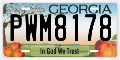 GA license plate PWM8178