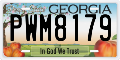 GA license plate PWM8179