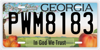GA license plate PWM8183