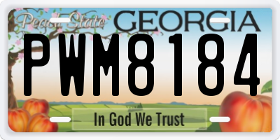 GA license plate PWM8184