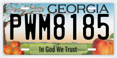 GA license plate PWM8185