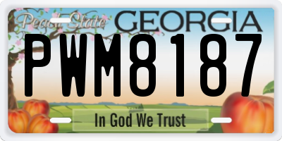 GA license plate PWM8187
