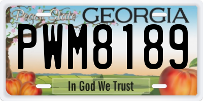 GA license plate PWM8189