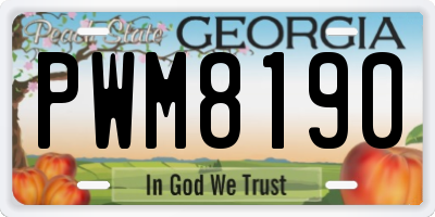 GA license plate PWM8190