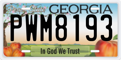 GA license plate PWM8193