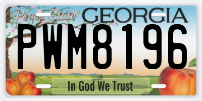 GA license plate PWM8196