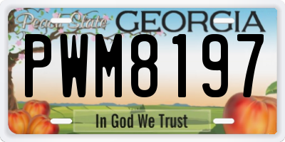 GA license plate PWM8197