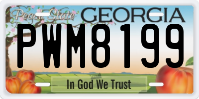 GA license plate PWM8199