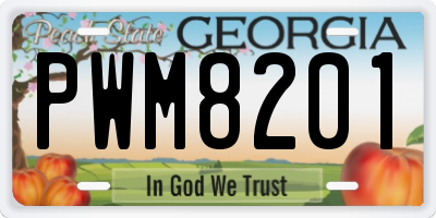 GA license plate PWM8201