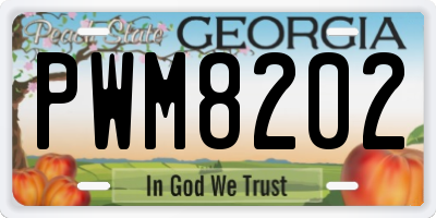 GA license plate PWM8202