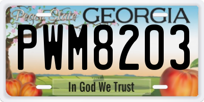 GA license plate PWM8203