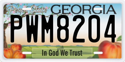 GA license plate PWM8204