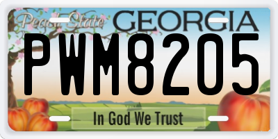 GA license plate PWM8205