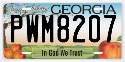 GA license plate PWM8207