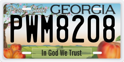 GA license plate PWM8208