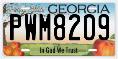 GA license plate PWM8209