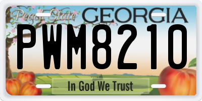 GA license plate PWM8210